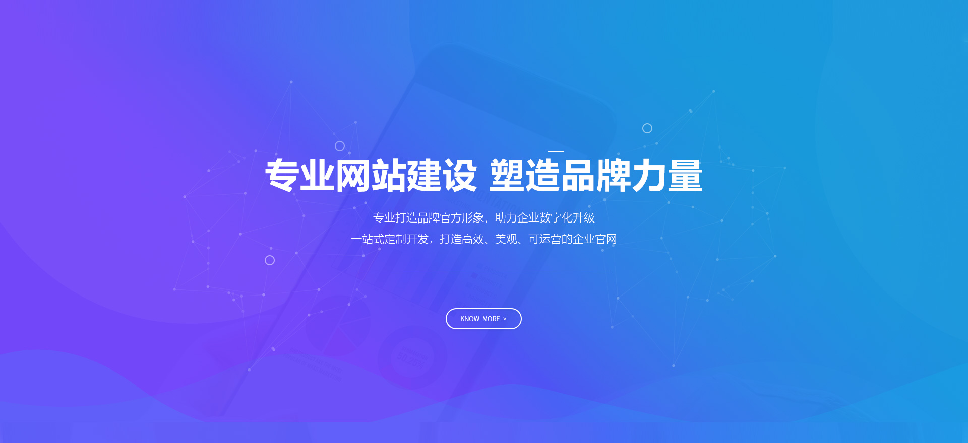 成都建站-专业网站建设 塑造品牌力量