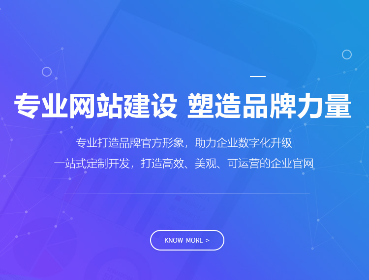 成都建站-专业网站建设 塑造品牌力量